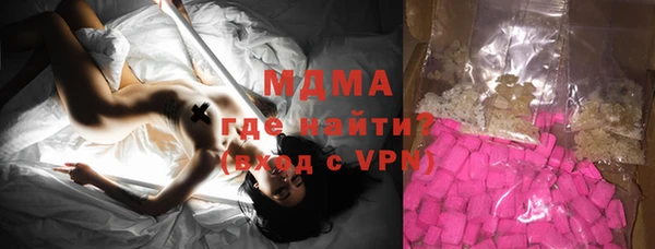 шишки Ельня