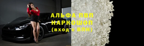 шишки Ельня