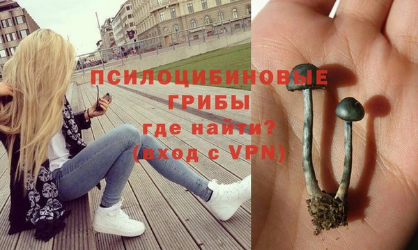 винт Елабуга