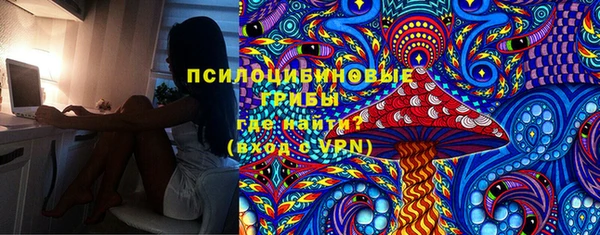 шишки Ельня