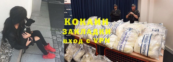 ECSTASY Дмитриев