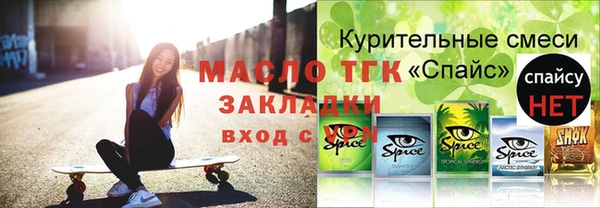 шишки Ельня