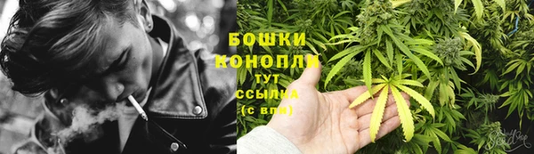 apvp Дмитров