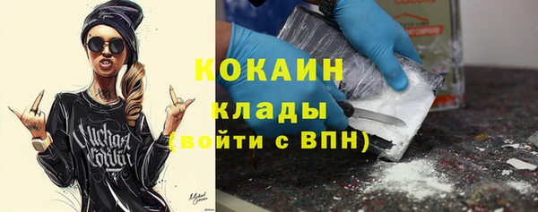 apvp Дмитров