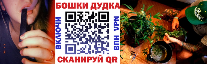 Купить где  Велиж  Бошки Шишки марихуана 
